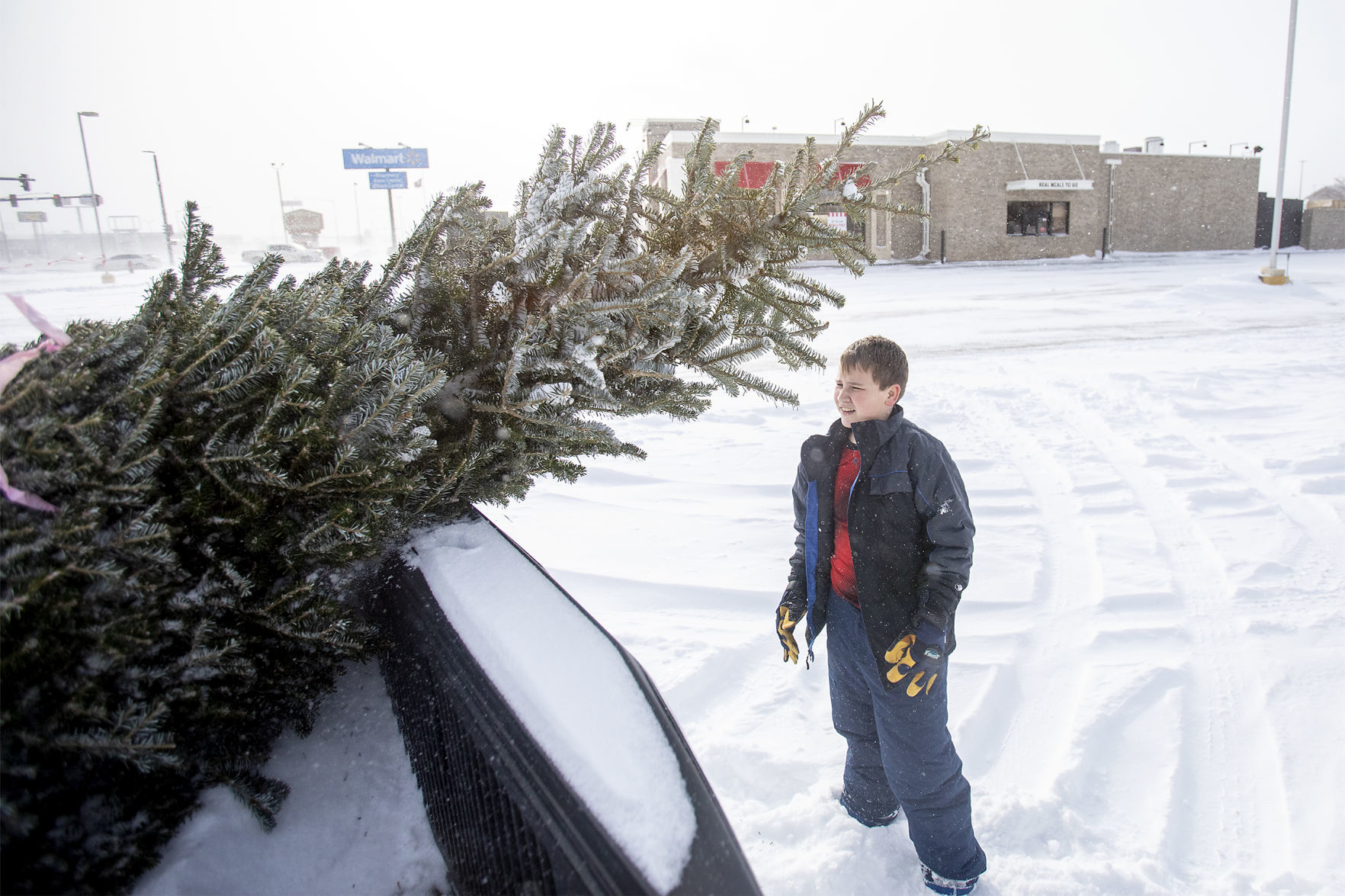 Boy Scouts Christmas trees